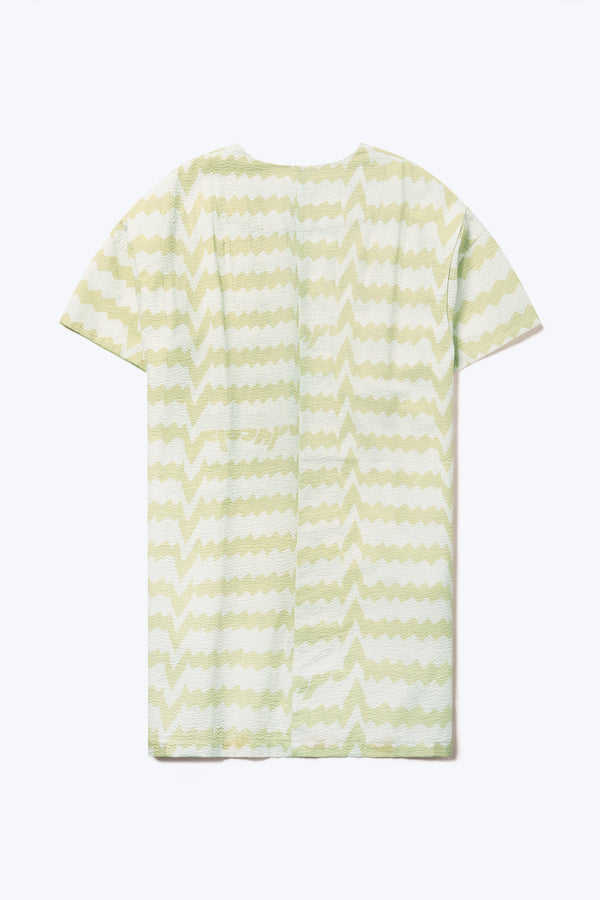 Lumen Dress Pale Green Print