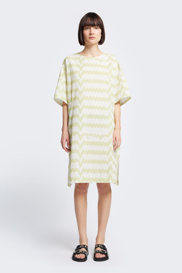 Lumen Dress Pale Green Print