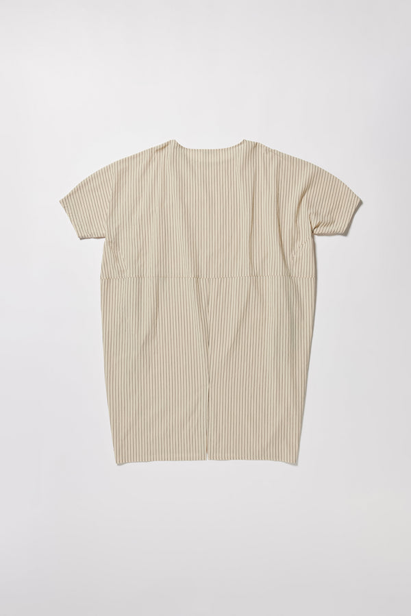 Yielding Dress Ecru Pin Stripe